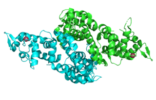 <span class="mw-page-title-main">Citrin</span> Mammalian protein found in humans