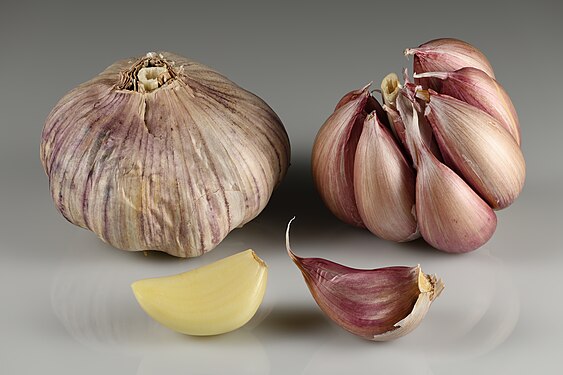 Garlic by Ivar Leidus