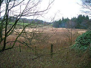 Hessilhead Loch lake in the United Kingdom