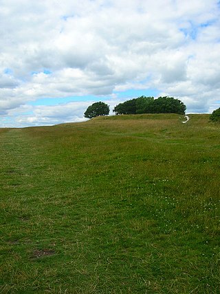 <span class="mw-page-title-main">Highdown Hill</span>