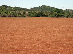 Languedoc-Roussillon, France