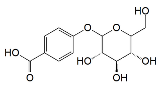 4-Hydroxybenzoic acid 4-<i>O</i>-glucoside Chemical compound