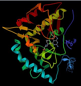 <span class="mw-page-title-main">Phenylalanine hydroxylase</span> Mammalian protein found in Homo sapiens