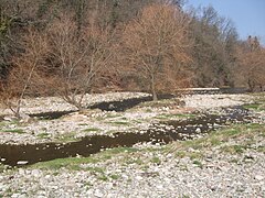 Renaturierung der Wiese bei Maulburg (2)