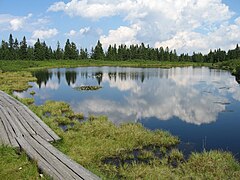 Ribnica Lake Ribnica na Pohorju Municipality