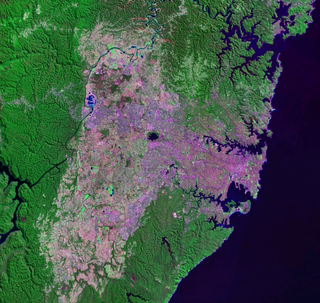 <span class="mw-page-title-main">Cumberland Plain</span> Plain in Australia