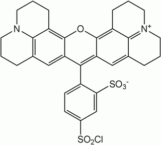 <span class="mw-page-title-main">Texas Red</span> Chemical compound