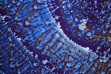 Microcrystals of Mineral Water “Essentuki 4” Salt Light microscopy