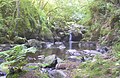 Gorges de l'Arcueil