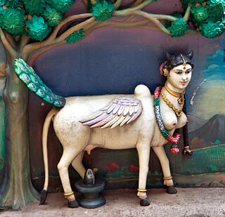 <span class="mw-page-title-main">Kamadhenu</span> Hindu goddess; Divine cow in Hinduism