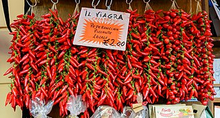 <i>Peperoncino</i> Italian name for hot chili pepper