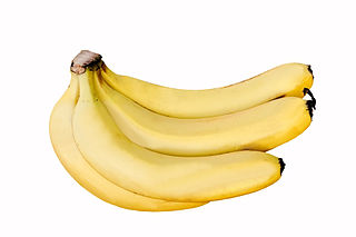 <span class="mw-page-title-main">Cavendish banana</span> Banana cultivar