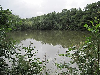 <span class="mw-page-title-main">Darland's Lake Nature Reserve</span>