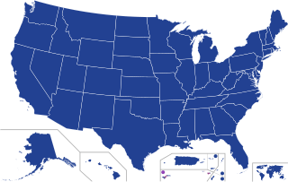 <span class="mw-page-title-main">2024 Democratic Party presidential primaries</span>