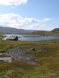 Hardangervidda im Sommer