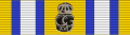 Svea Life Guards and the Life Guards Brigade Medal of Merit