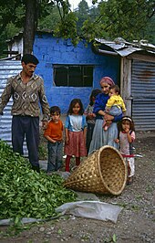 Black Sea tea farming in 1990 OTSchwarzteeErnte3.jpg