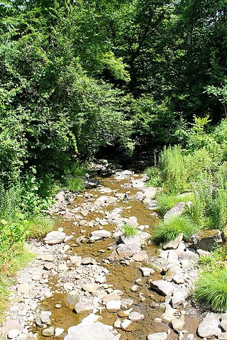 <span class="mw-page-title-main">Oxbow Creek</span> River