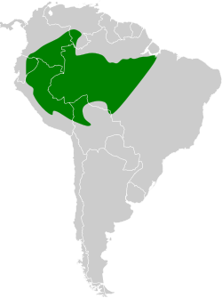 Distribución geográfica del verdillo ventriamarillo.