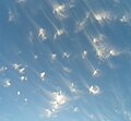 Cirrus uncinus clouds