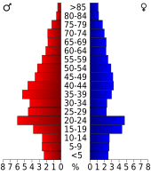 Bevolkingspiramide Somerset County