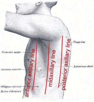 <span class="mw-page-title-main">Axilla</span> Area of the human body beneath the joint between arm and torso