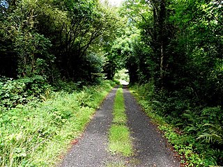 <span class="mw-page-title-main">Derrymony</span> Townland in the civil parish of Templeport, County Cavan, Ireland