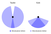 Schematische Außengrenzen und Deckfelder des binokularen Gesichtsfeldes bei einer Taube (links) und einer Eule (rechts)