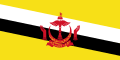 w:Flag of Brunei (hand)