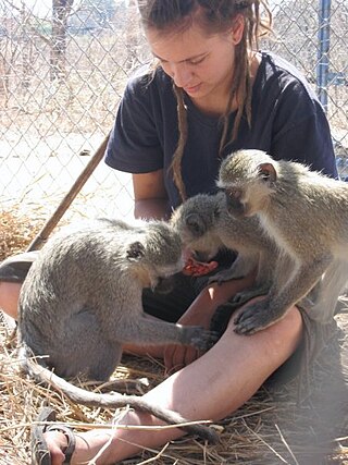 <span class="mw-page-title-main">Vervet Monkey Foundation</span>