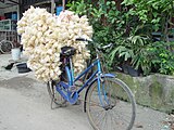 Cracker vender bicycle (sepeda karak) in North Jakarta, Indonesia