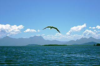 Guaricana National Park