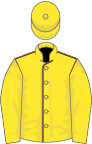 Yellow, Brown seams, Yellow sleeves and cap