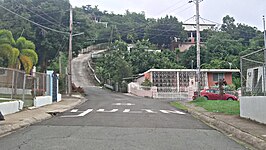 Straat in Las Palmas in de gemeente Arroyo