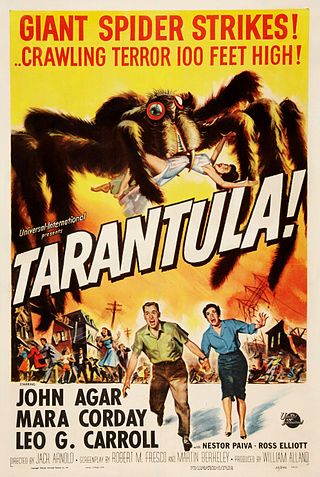 <i>Tarantula</i> (film) 1955 US science-fiction monster film by Jack Arnold