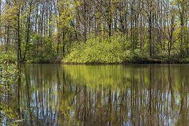 Uitzicht over de Bekhofplas. Locatie, natuurterrein Beekdal Linde Bekhofplas 13