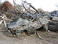 Smashed houses, cars, trees