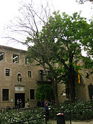 54 Pi de l'Escola Massana.jpg