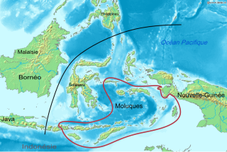 Central Malayo-Polynesian languages Proposed branch of the Austronesian language family