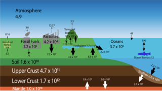 <span class="mw-page-title-main">Chromium cycle</span> Biogeochemical cycle