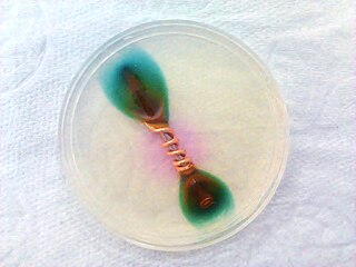 <span class="mw-page-title-main">Galvanic corrosion</span> Electrochemical process