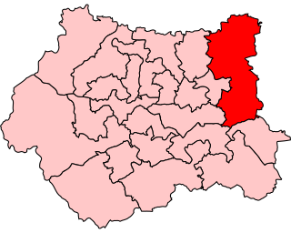 <span class="mw-page-title-main">Elmet (UK Parliament constituency)</span> Parliamentary constituency in the United Kingdom, 1983–2010