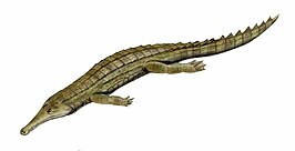 Elosuchus