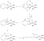 Extradiol Mechanism.png