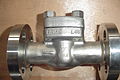 Gate valve.JPG