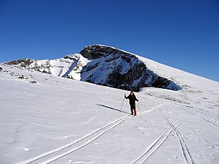 <span class="mw-page-title-main">Nautgardstind</span> Mountain in Innlandet, Norway