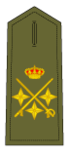 Teniente General