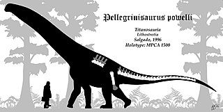 <i>Pellegrinisaurus</i> Extinct genus of dinosaurs