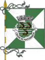 Bandeira de Matosinhos