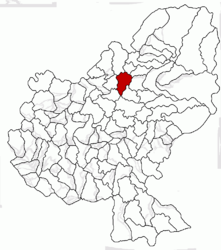 Location in Mureș County